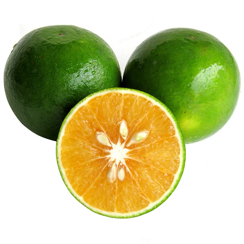 【百果乡告诉你】必知:橙子的16大&ldquo;绝世神功&rdquo