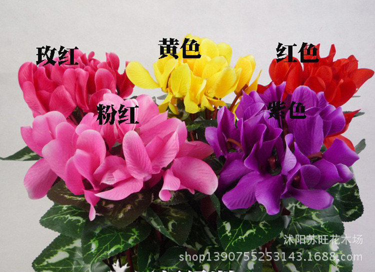 item-0EAC10E4-127DA13D00000000