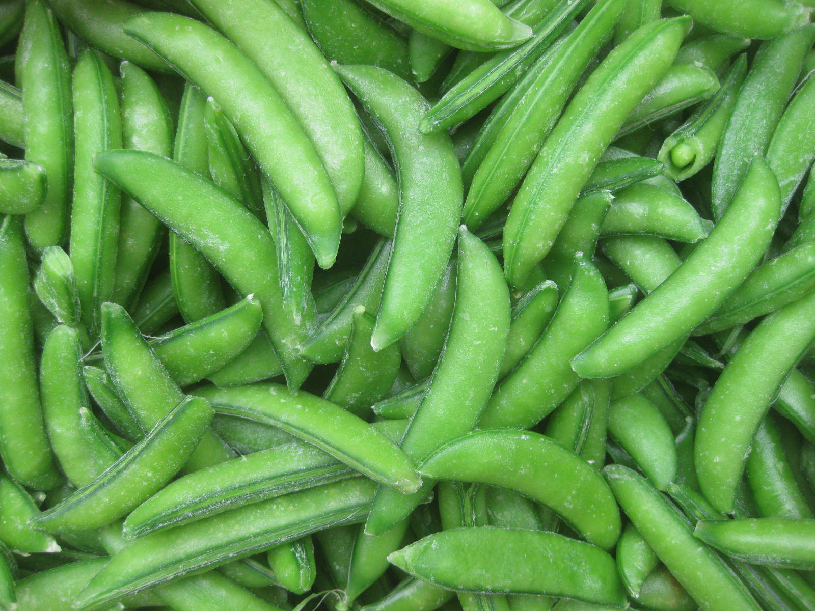 2015年速冻外销标准甜豌豆荚