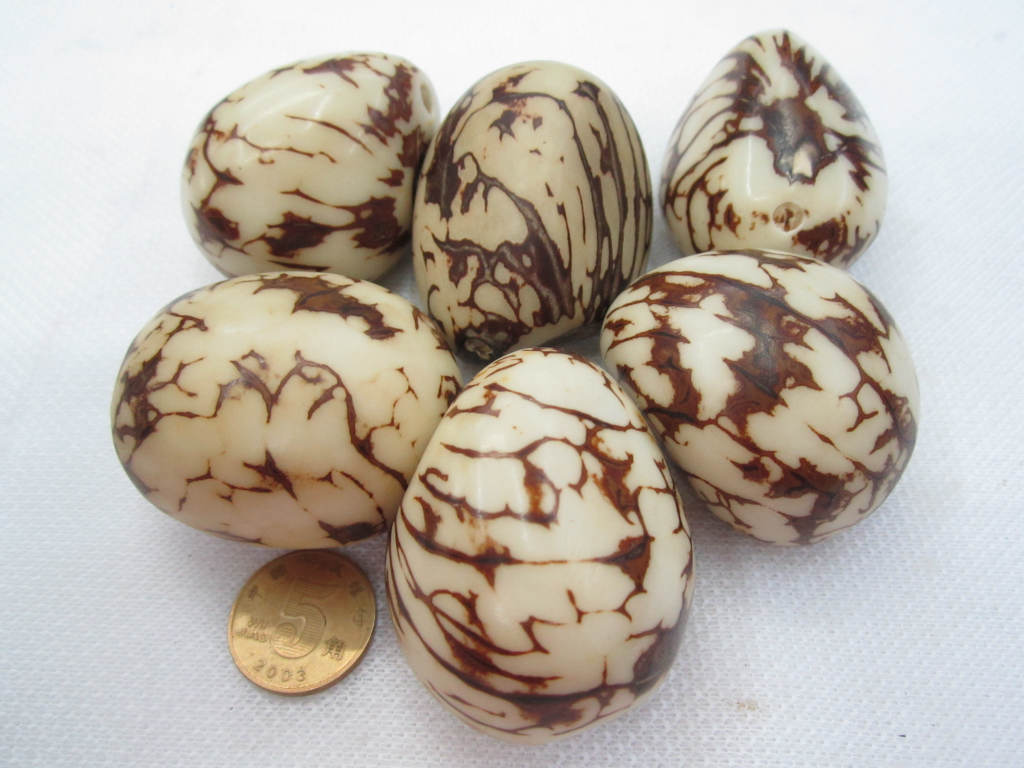 象牙果菩提子批发 象牙果菩提籽批发 优质象牙果菩提子大中小