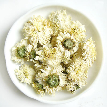 批发供应正宗桐乡杭白菊 菊花茶 散装花茶 花草茶 茶叶 厂家直批