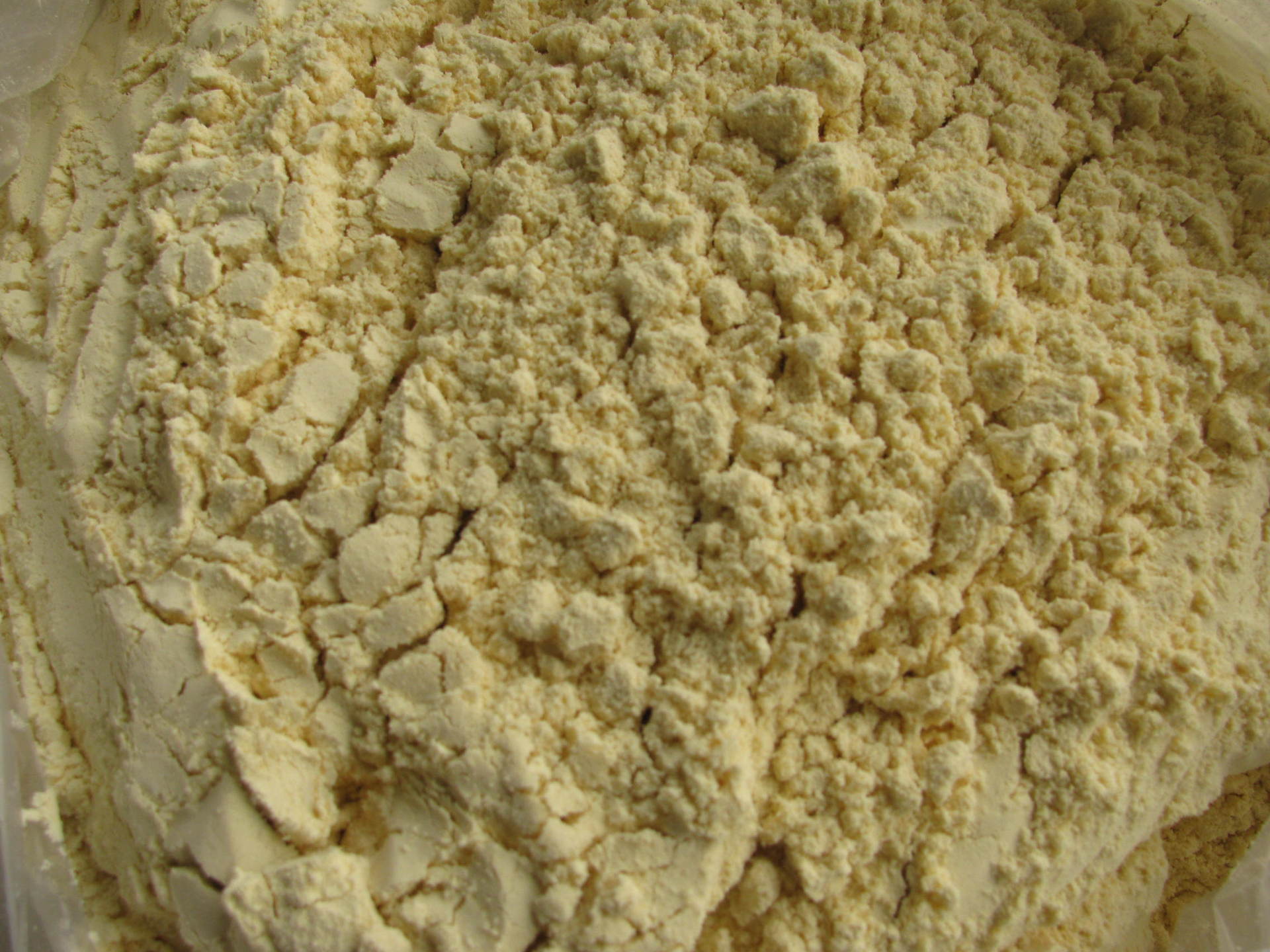 无抗原全脂豆粉