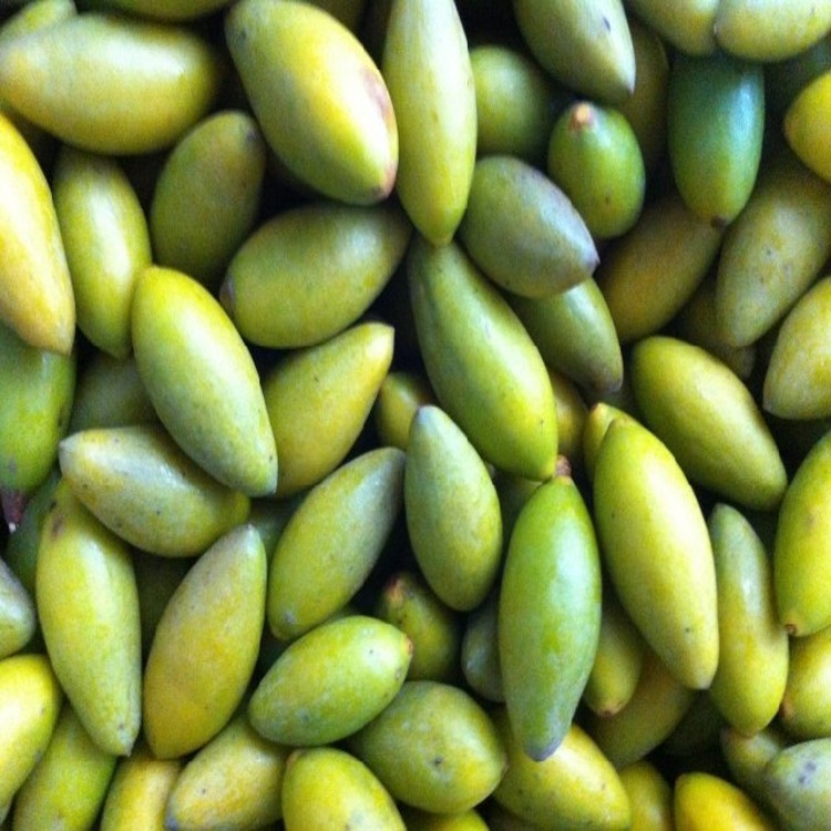 供应厂家浓香型回甘好闽清橄鲜食橄榄