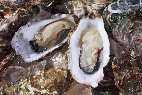 蜜茶海蛎80克原味辣味特色食品福建特产即食海鲜牡蛎