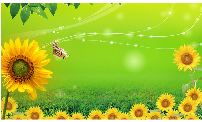 供应 儿童房卧室沙发背景装饰可移除向日葵