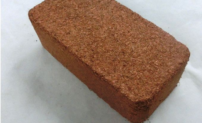 椰砖土 椰砖 营养土 种菜土大包 有机种植土阳台种菜 椰土650g