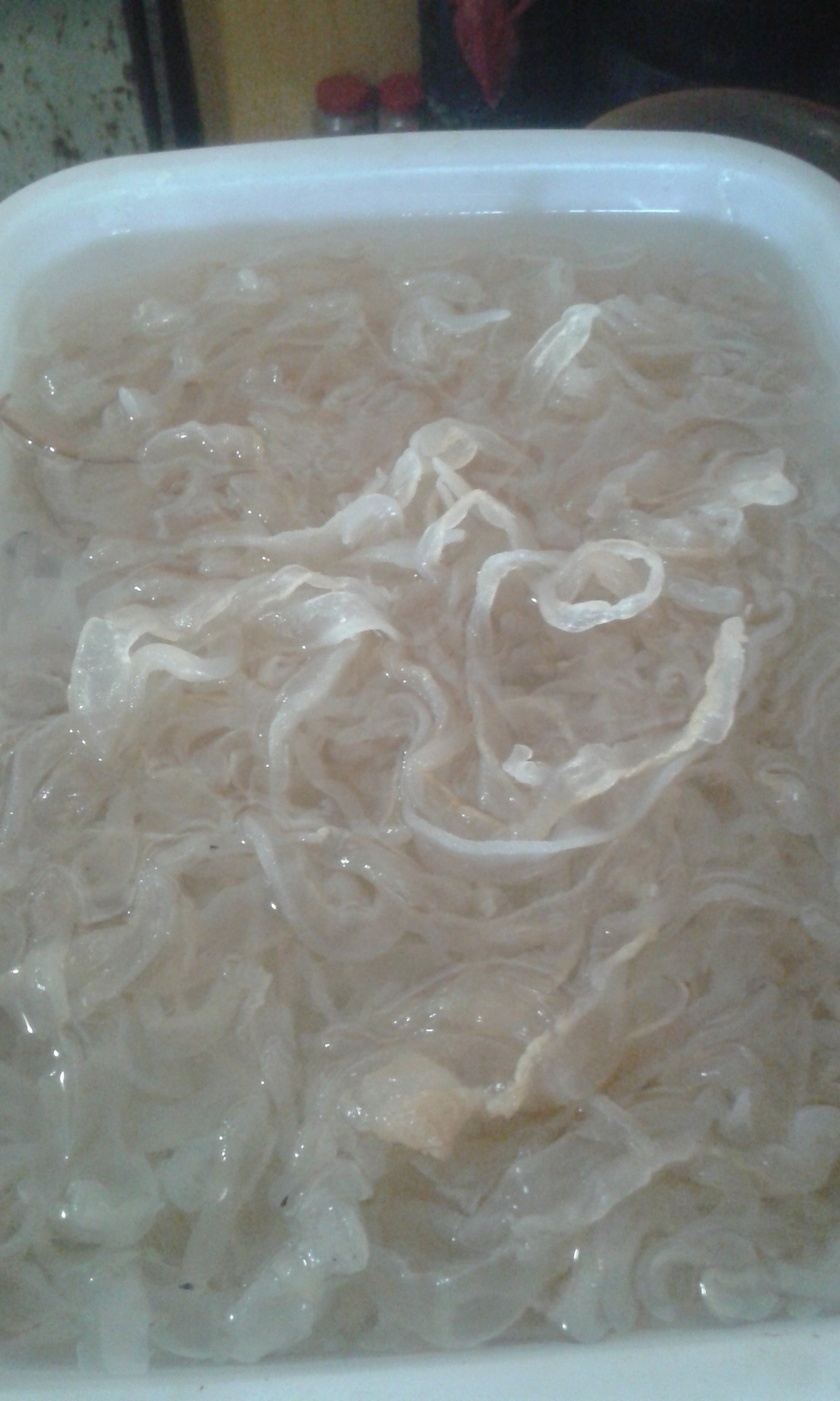 【海珍坊】盐渍海蜇丝 沙蜇丝 野生海蜇 海蜇丝批发 500g