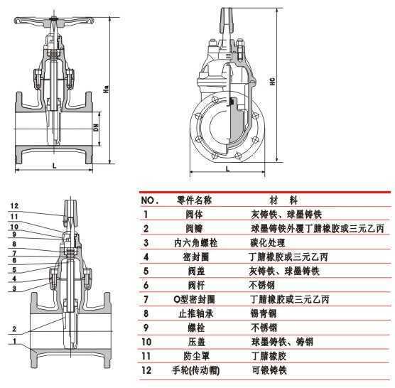 供应z41x-10q 铸铁闸板阀明杆弹性座封闸阀dn250