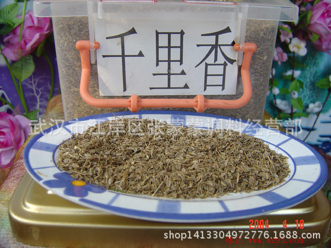 卤水火锅麻辣烫香料大全 优质千里香 **佐料 莳萝籽 调味.