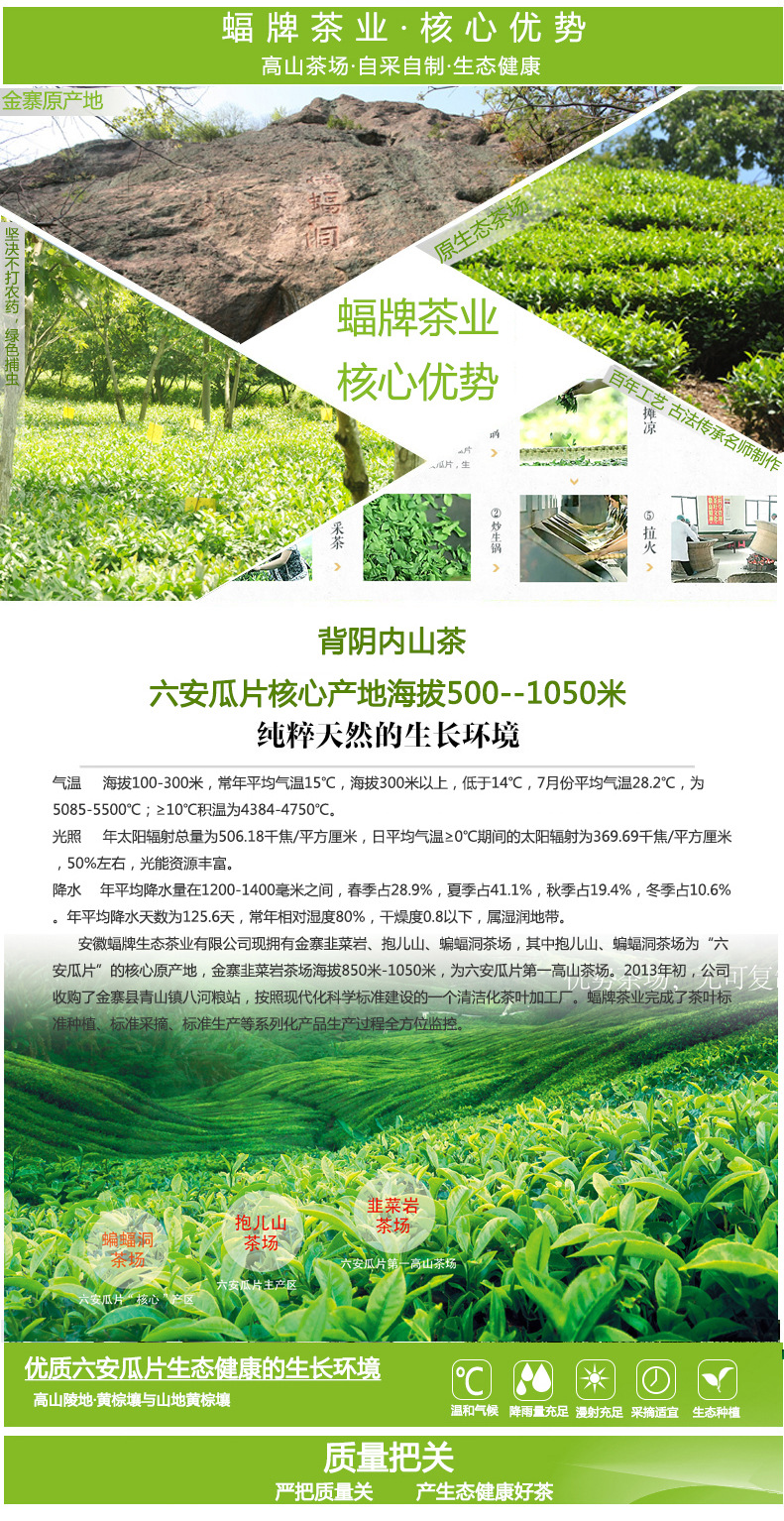 厂家供应安徽六安2016年新茶雨前春茶 手工六安瓜片散茶批.