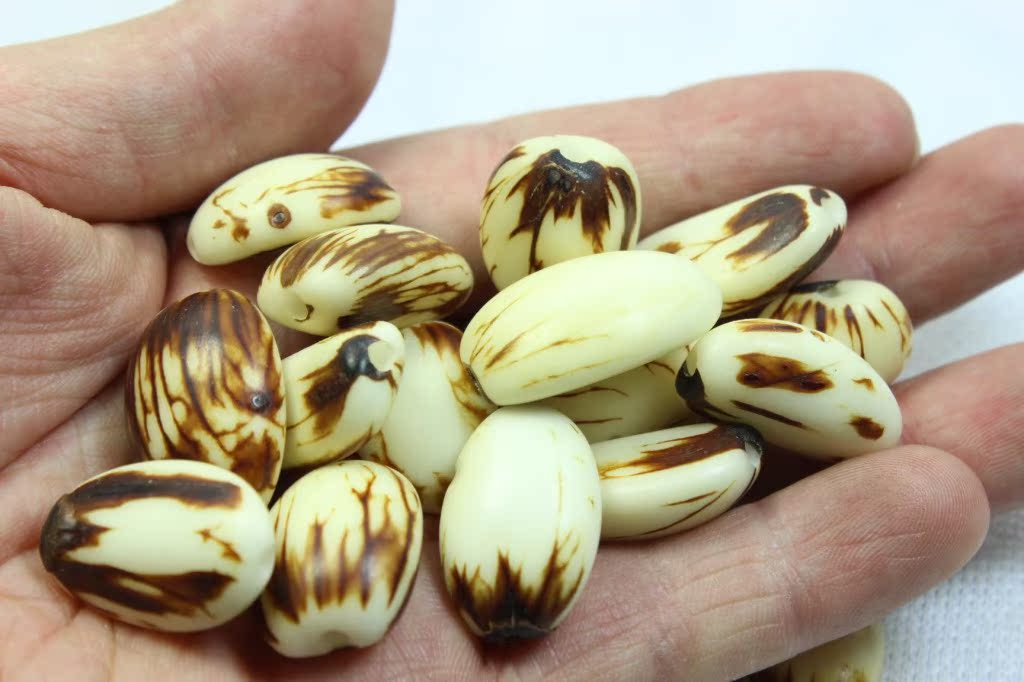 白玉菩提子原料原籽小白玉原料原籽品质优按斤货源大批发