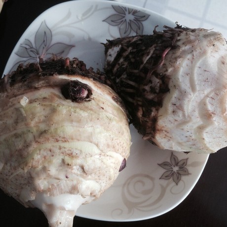 厂家批发出售优质台湾大甲芋头台湾芋头(可免费拿样)芋头