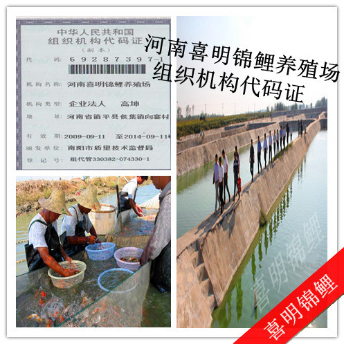 渔场组织机构代码证