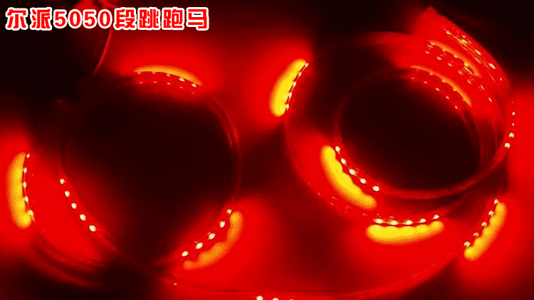 厂家直销双排led灯带5050led软灯条室外防水灯带七彩跑马灯带220v