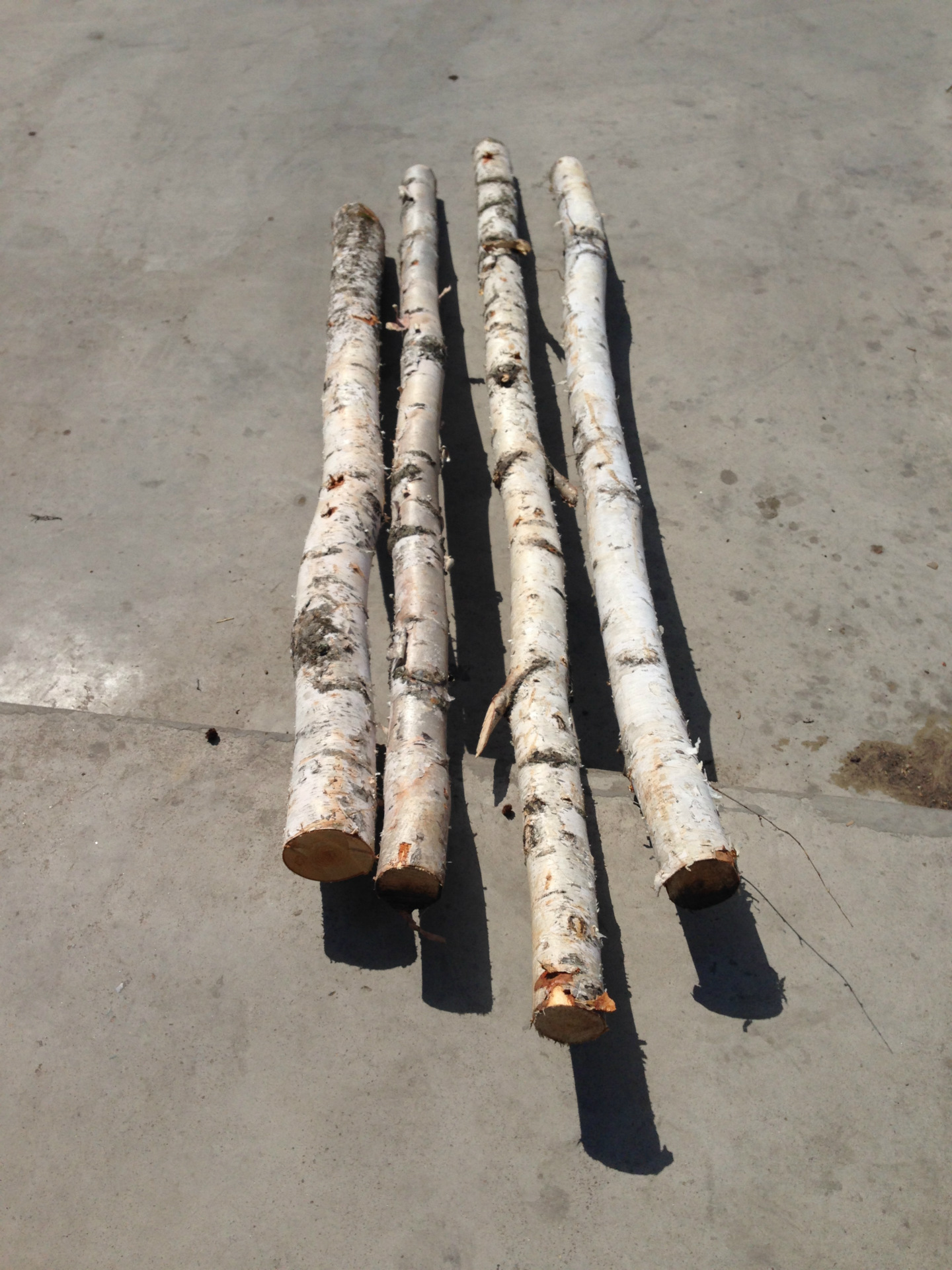 生产天地 img_3202