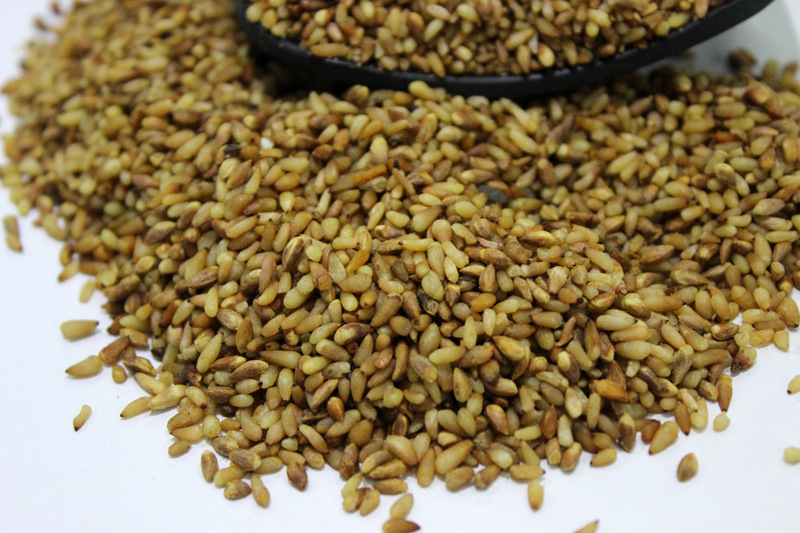 批发柏子仁 中药材柏子仁 无硫柏子仁 量大从优 一公斤包邮