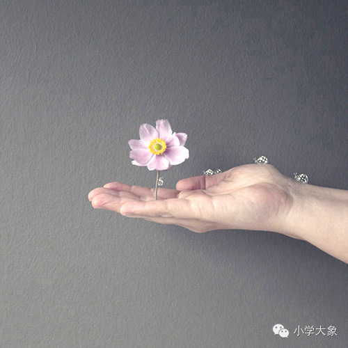 一道墙壁,一只手,一剪影,一朵花,几笔画,组成一生活,一世界.