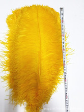 厂家现货供应65-70cm南非金黄色鸵鸟羽毛装饰 酒店婚庆布