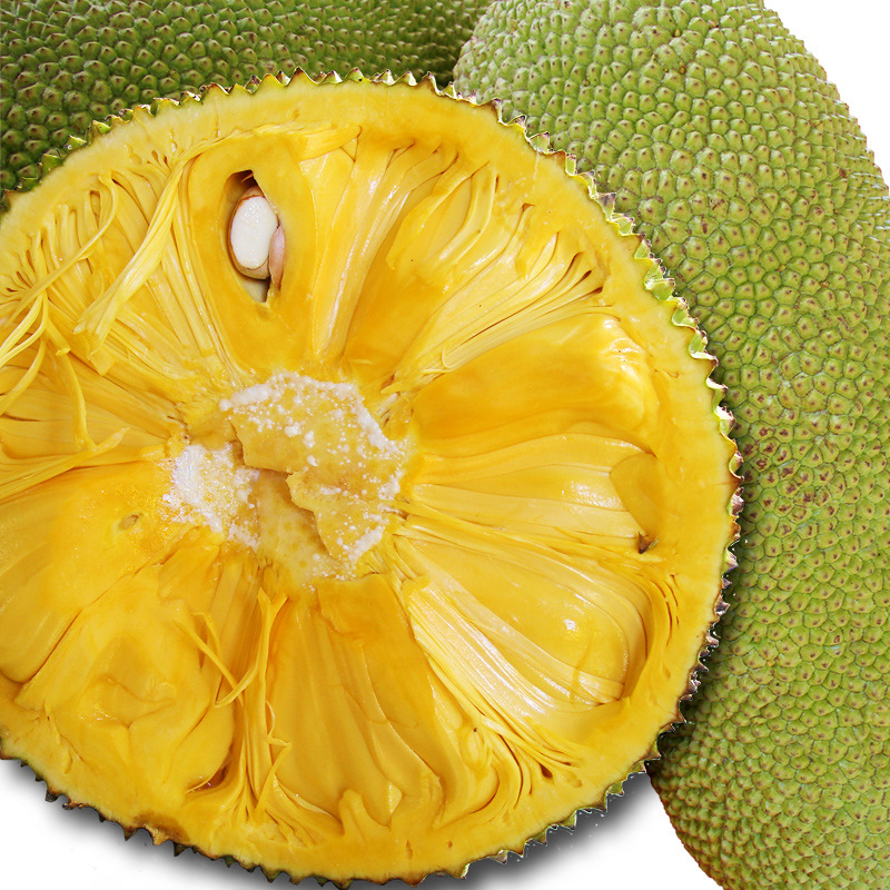 百果乡告诉您# 世界上最重的水果&ldquo;菠萝蜜&rdquo