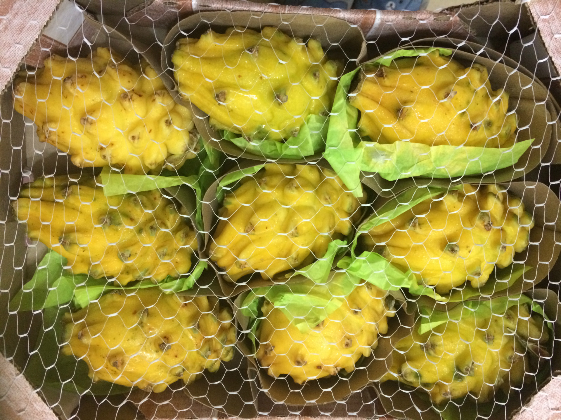 新鲜 麒麟果 燕窝果8个促销价 水果批发