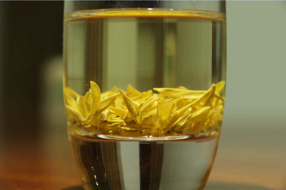 首页 食品饮料 茶叶 黄茶 >天台黄茶 中黄一号 天然黄 茶苗 黄茶苗 原