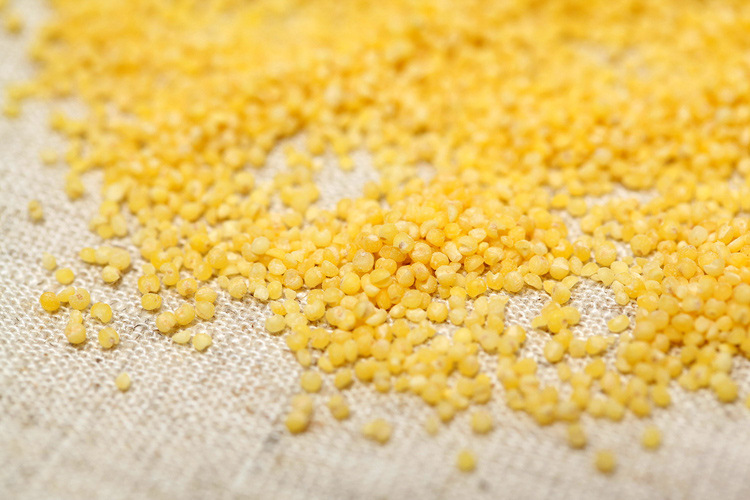 优质罐装 苏北农家特产小黄米 黄小米 煮粥佳品真空包装400g