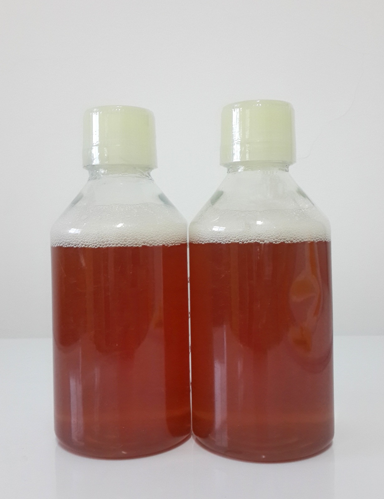 豚鼠血清(豚鼠血浆)