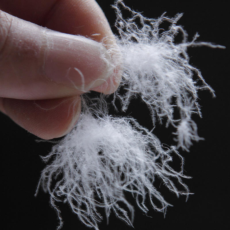 厂家批发直销 纯白新国标80%白鸭大朵绒 水洗羽绒 80白鸭绒价格