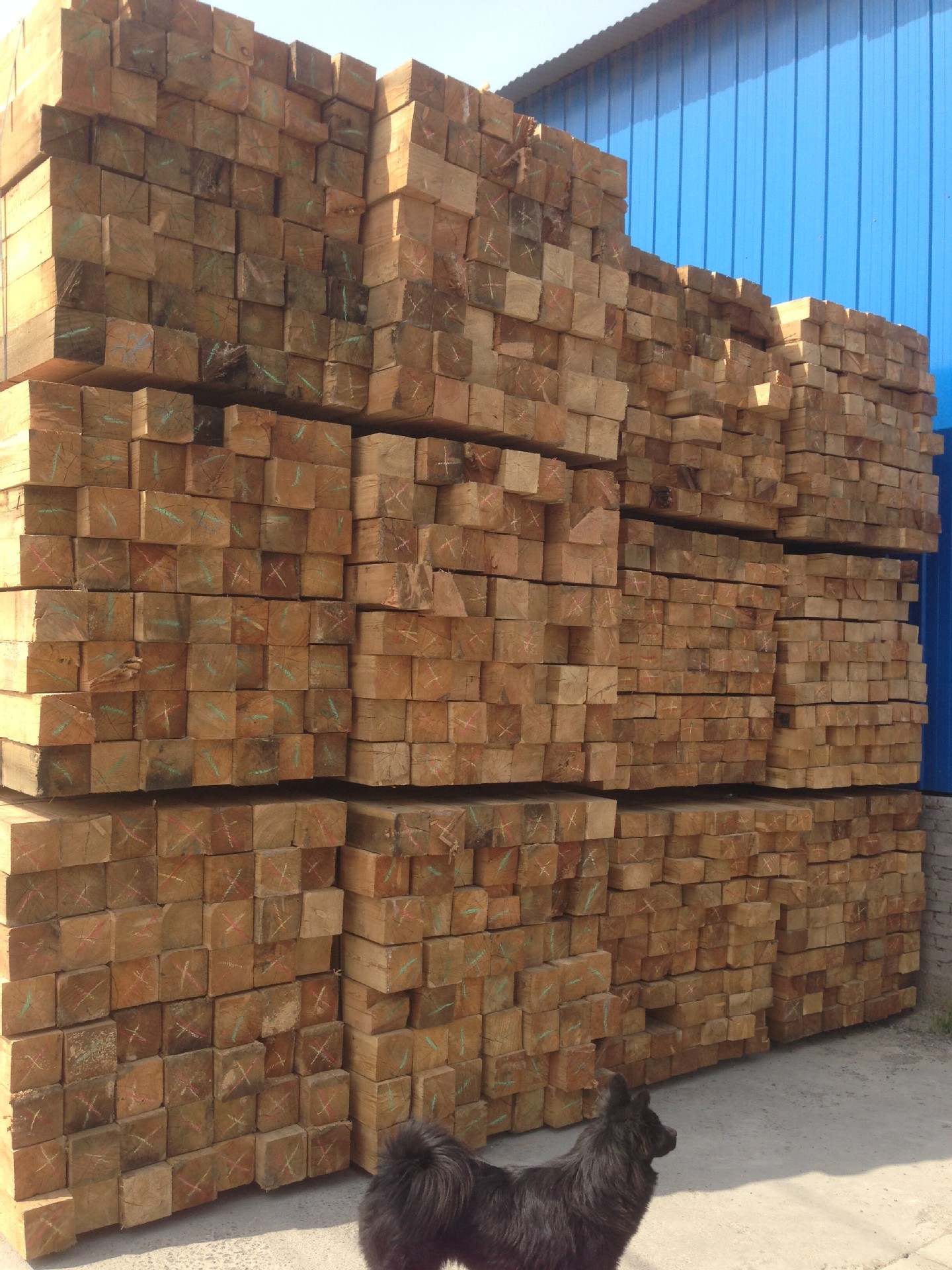 4mx13cmx15cm方木 板材 落叶松