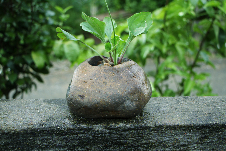 厂家直销批发天然鹅卵石花盆 热卖创新石头花盆多肉植物栽培盆景