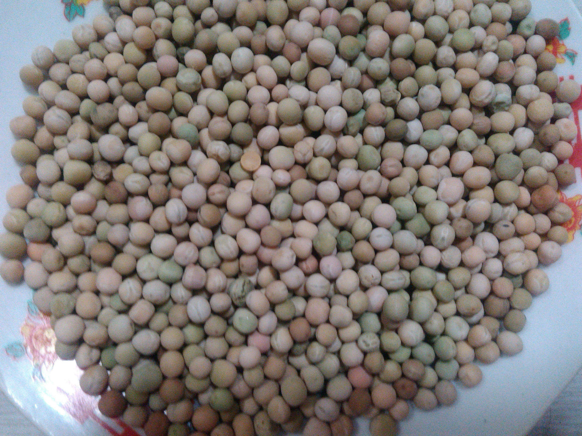 豌豆种子 1kg