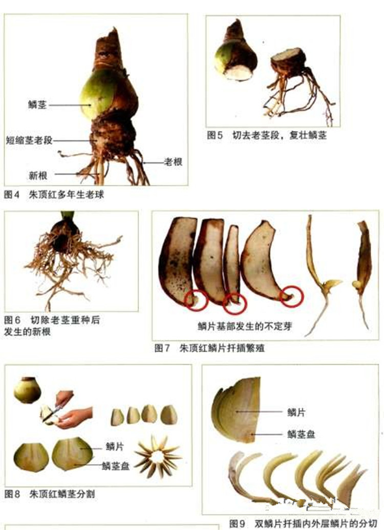 22-22-42-12-44_副本