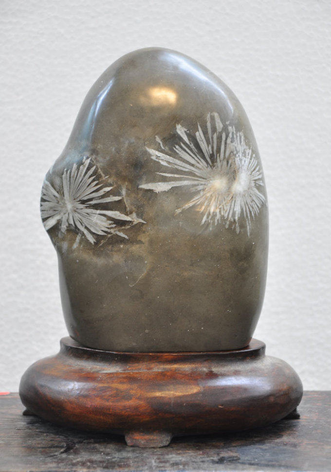 菊花石有一种诱人的魅力!