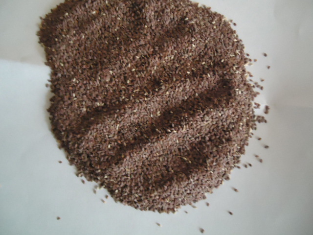 新疆优质 家独行菜子