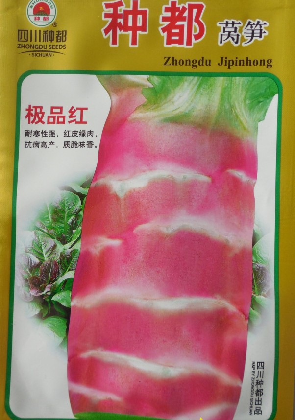 【特色微红莴苣】改良挂丝红莴苣 红莴笋良种 增进食欲 耐寒200粒