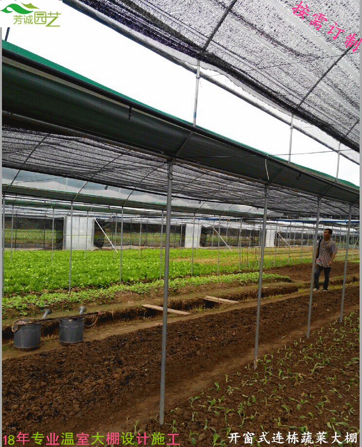 广西开窗式连栋蔬菜大棚-开窗式连栋蔬菜大棚价格