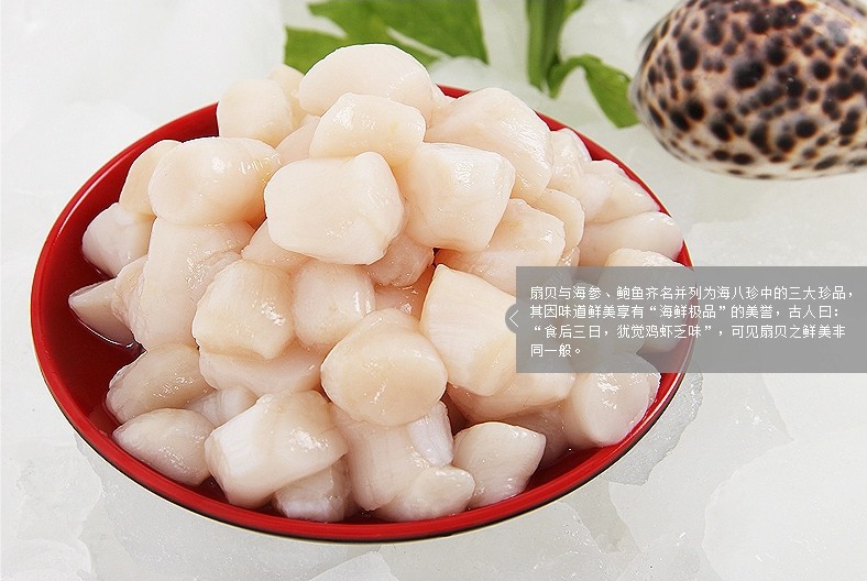 烟台海鲜 扇贝丁 鲜贝丁 单冻原浆无药泡 工厂直供餐饮批发
