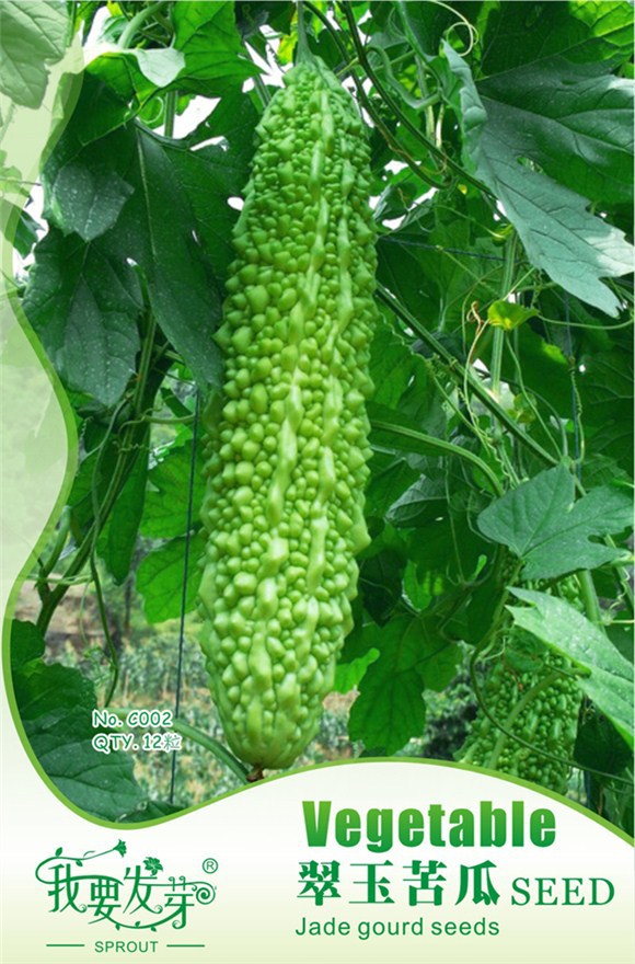 我要发芽蔬菜种子翠玉苦瓜长苦瓜肉质脆嫩凉瓜抗病12粒包