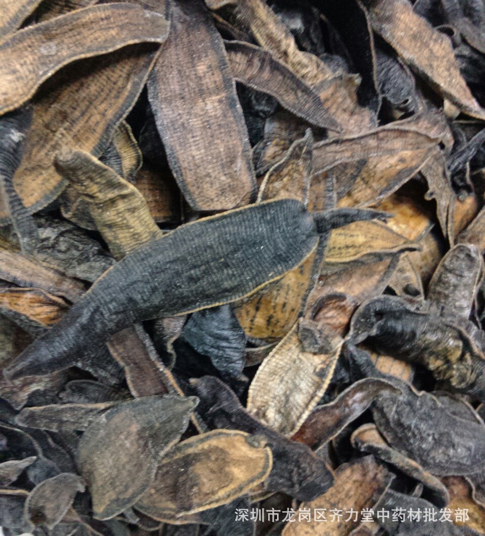 长年优质供应 水蛭 蚂蝗 马鳖