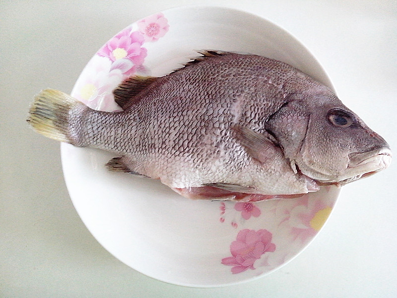 供应深海纯天然水产海鲜 进口冻黑瓜子斑 石斑鱼批发 厂家直销