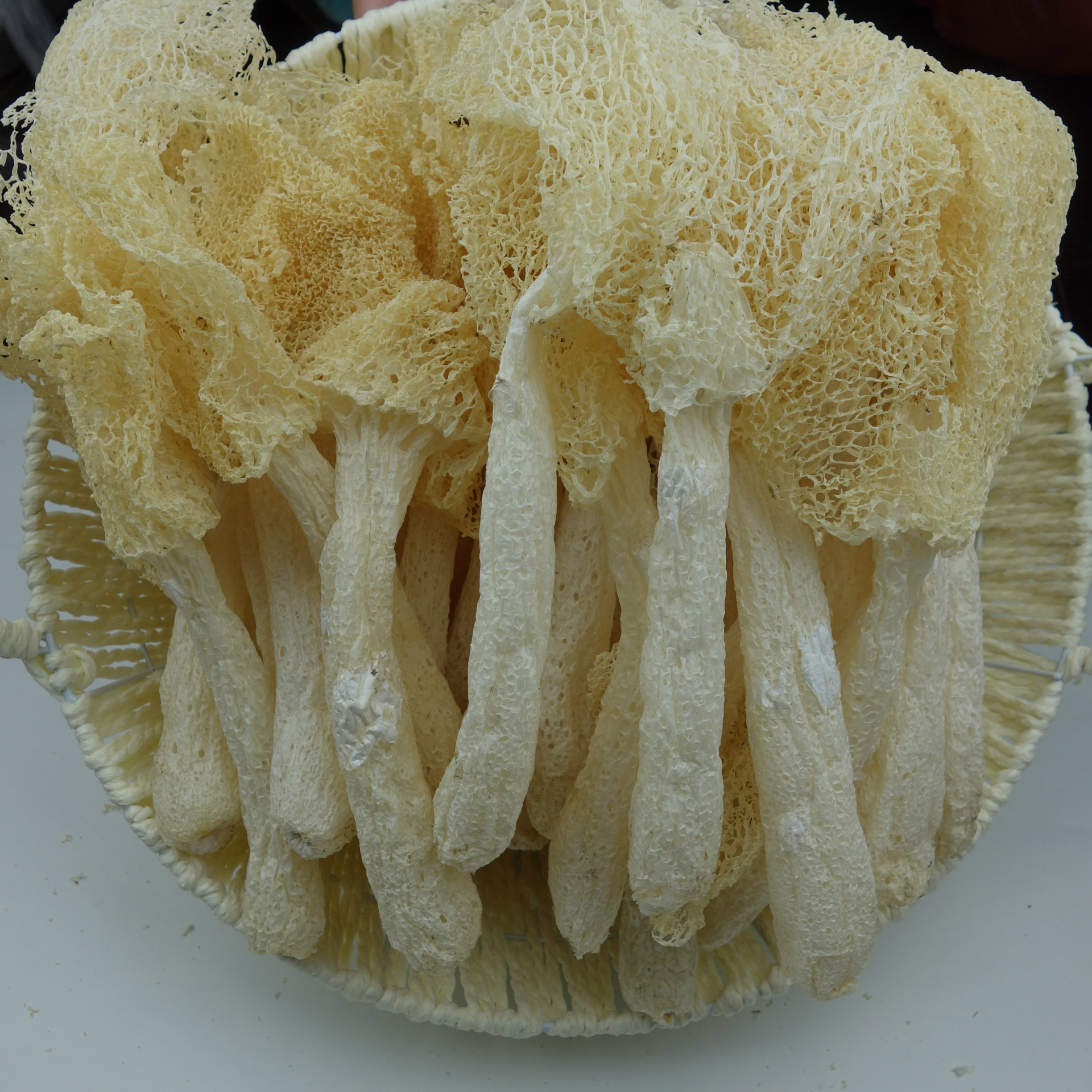 古田竹荪干货竹笙不熏硫农家货产地发货火锅食材 80g非500g