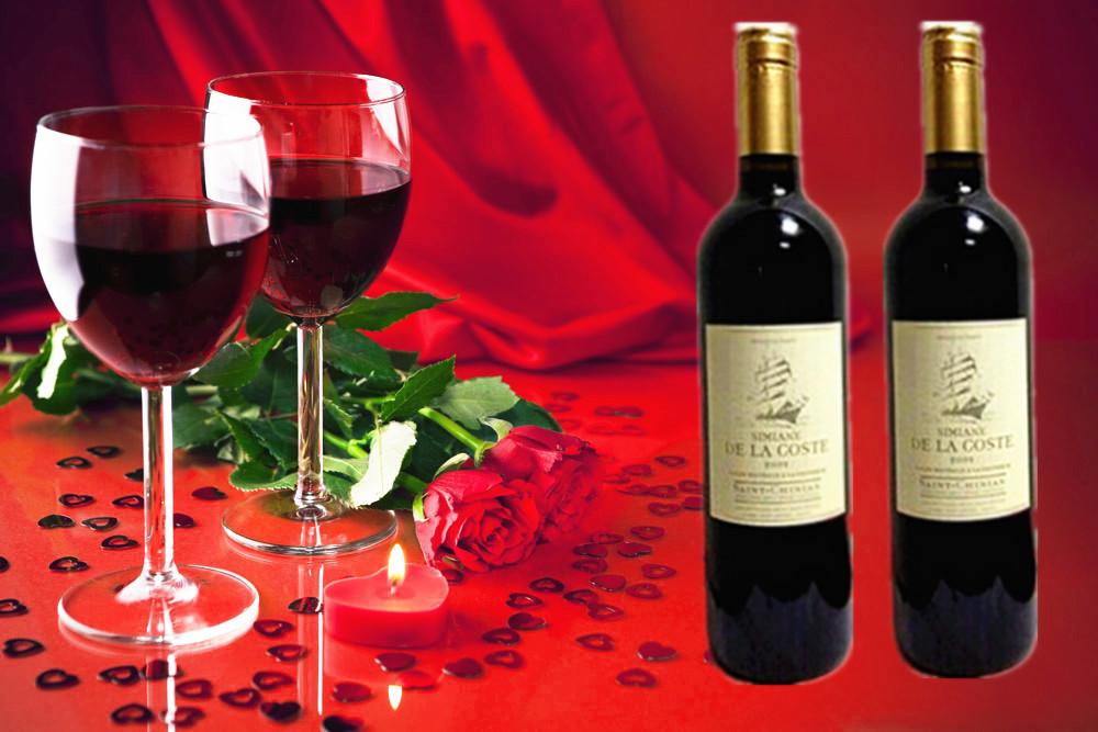 法国原瓶原装进口红酒 2009科特帆船干红葡萄酒750ml  餐酒优选