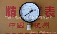 现货供应普通压力表Y-100（6Mpa以下/低压全规格）