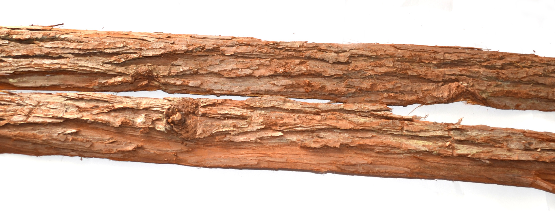 供应厂家直销高品质沙树皮 花材 专业手工