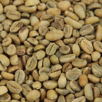 供应埃塞俄比亚摩卡咖啡生豆吉玛g-5日晒