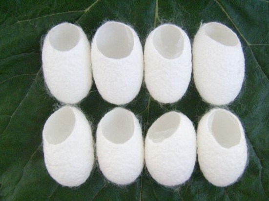 供应去角质去黑头 削口蚕茧 天然蚕丝茧球15只/包