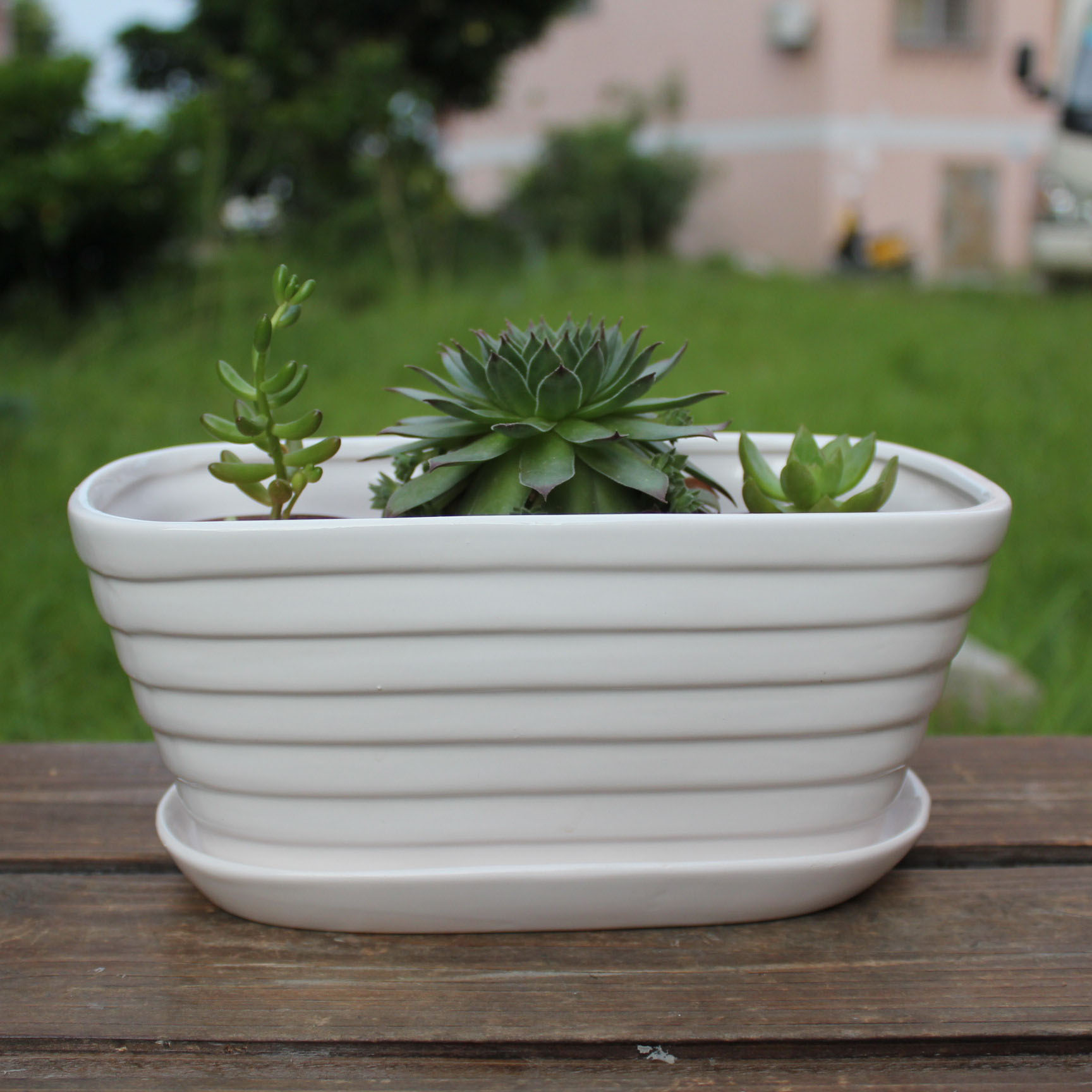 多肉花盆时尚简约白12326陶瓷花盆(中号)陶瓷工艺品 厂家批发