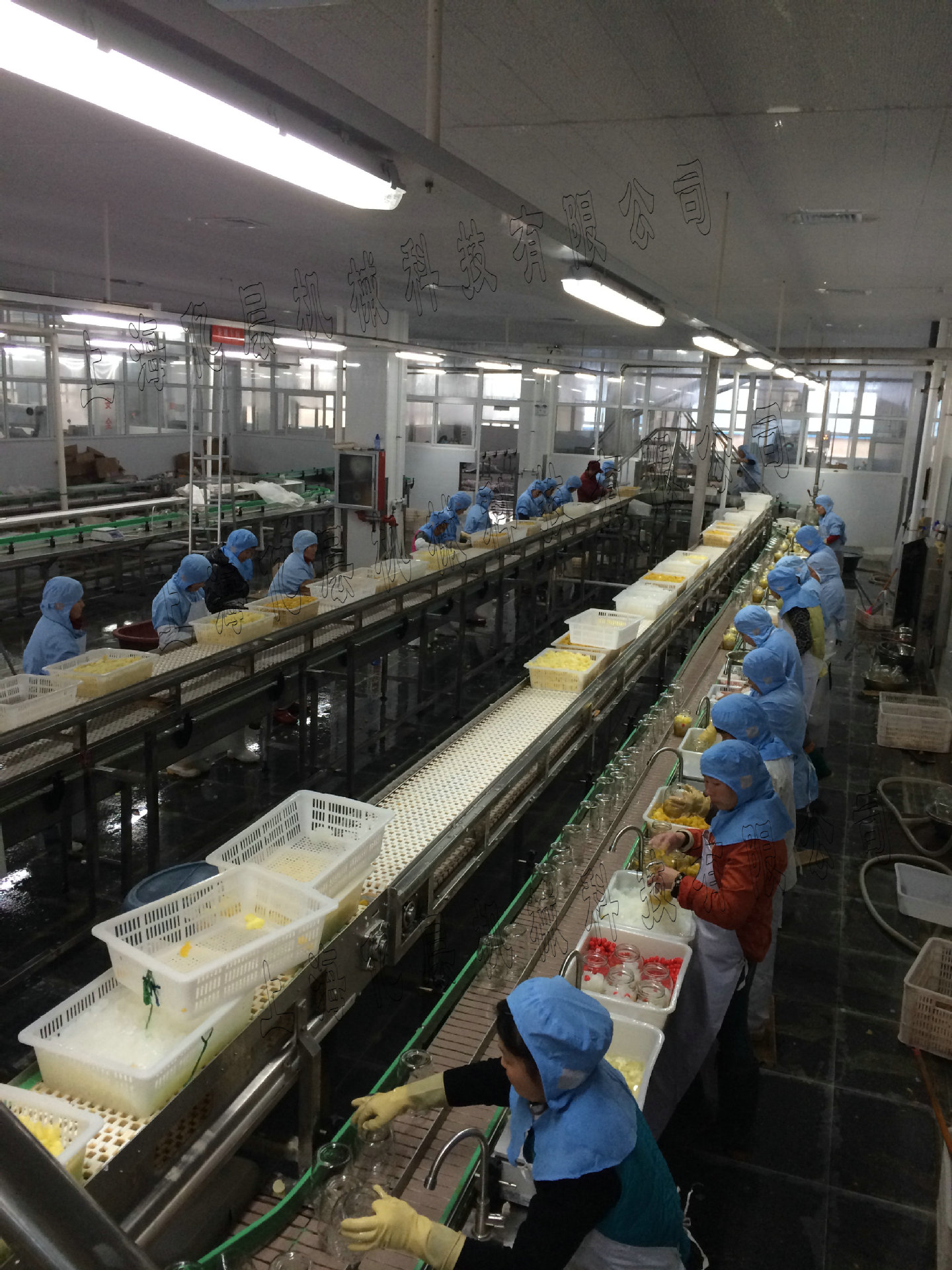 水果罐头生产线 桔子罐头加工设备黄桃罐头设备休闲食品加工设备