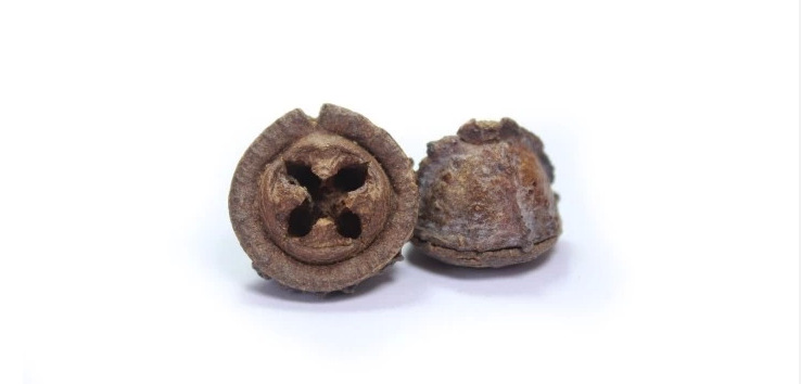 中药材 云南一口钟250克 咳喘 降脂降压 舒筋活血利湿 一口盅