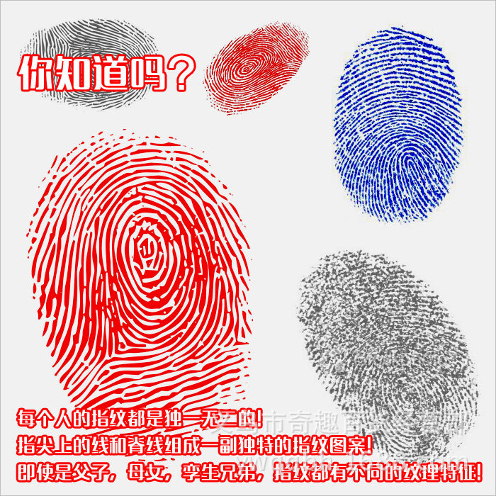 学生指纹鉴证科学实验套装分析指纹鉴定学法医做指纹侦探玩具批发